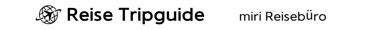 Schwarzes einfaches Reiselogo