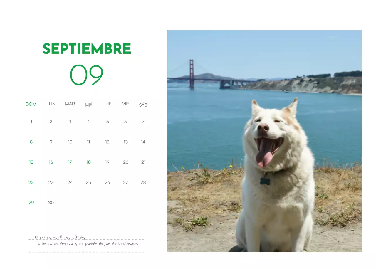Un calendario con una foto de un cachorro y un bonito mensaje en color verde