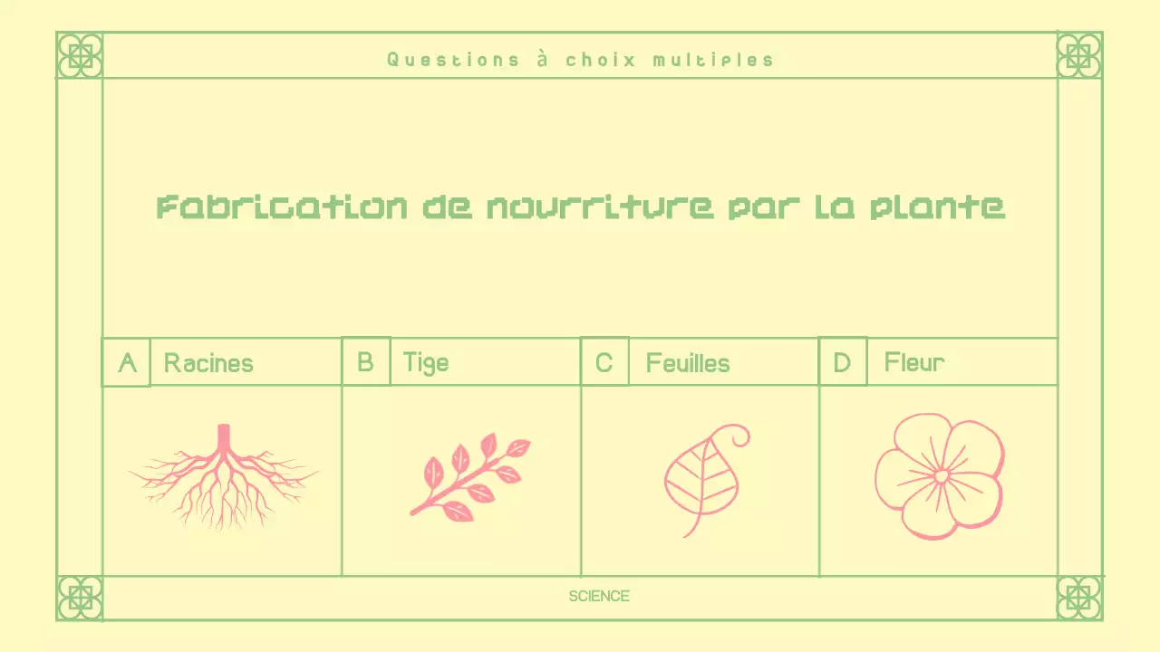 Quiz oriental rose mignon