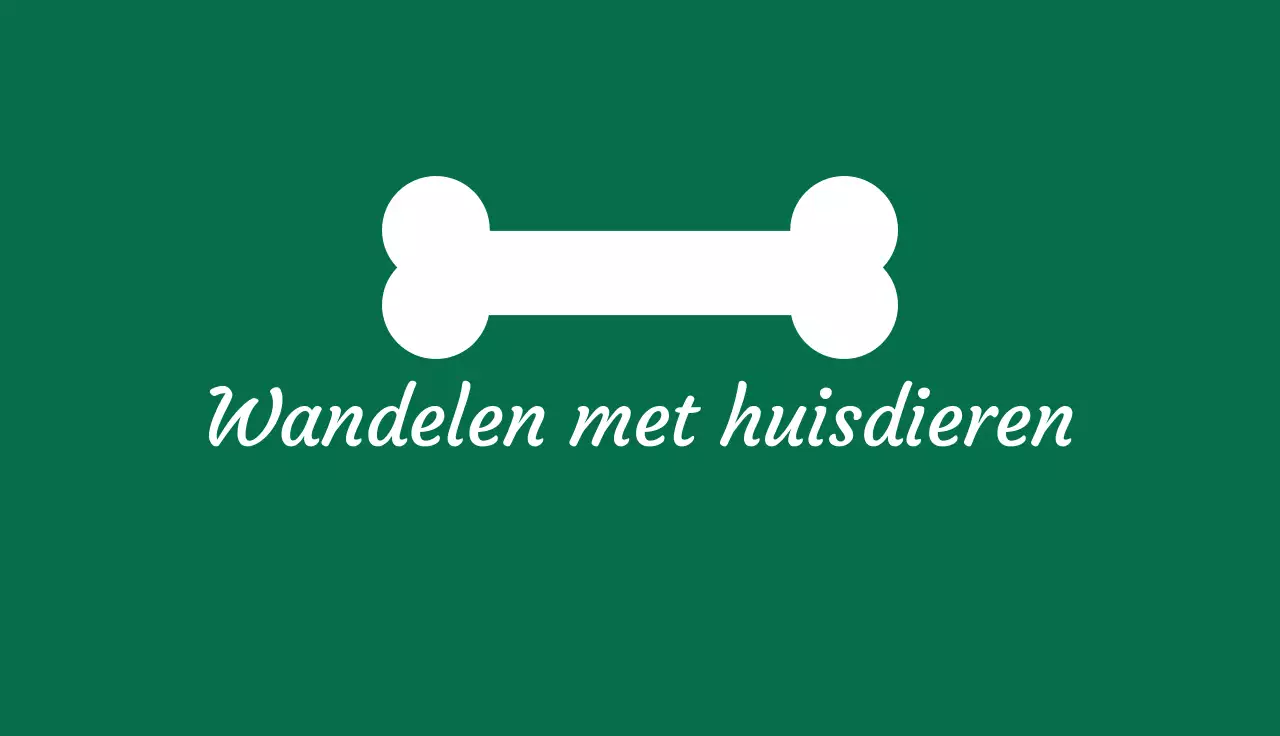 groen minimaal visitekaartje