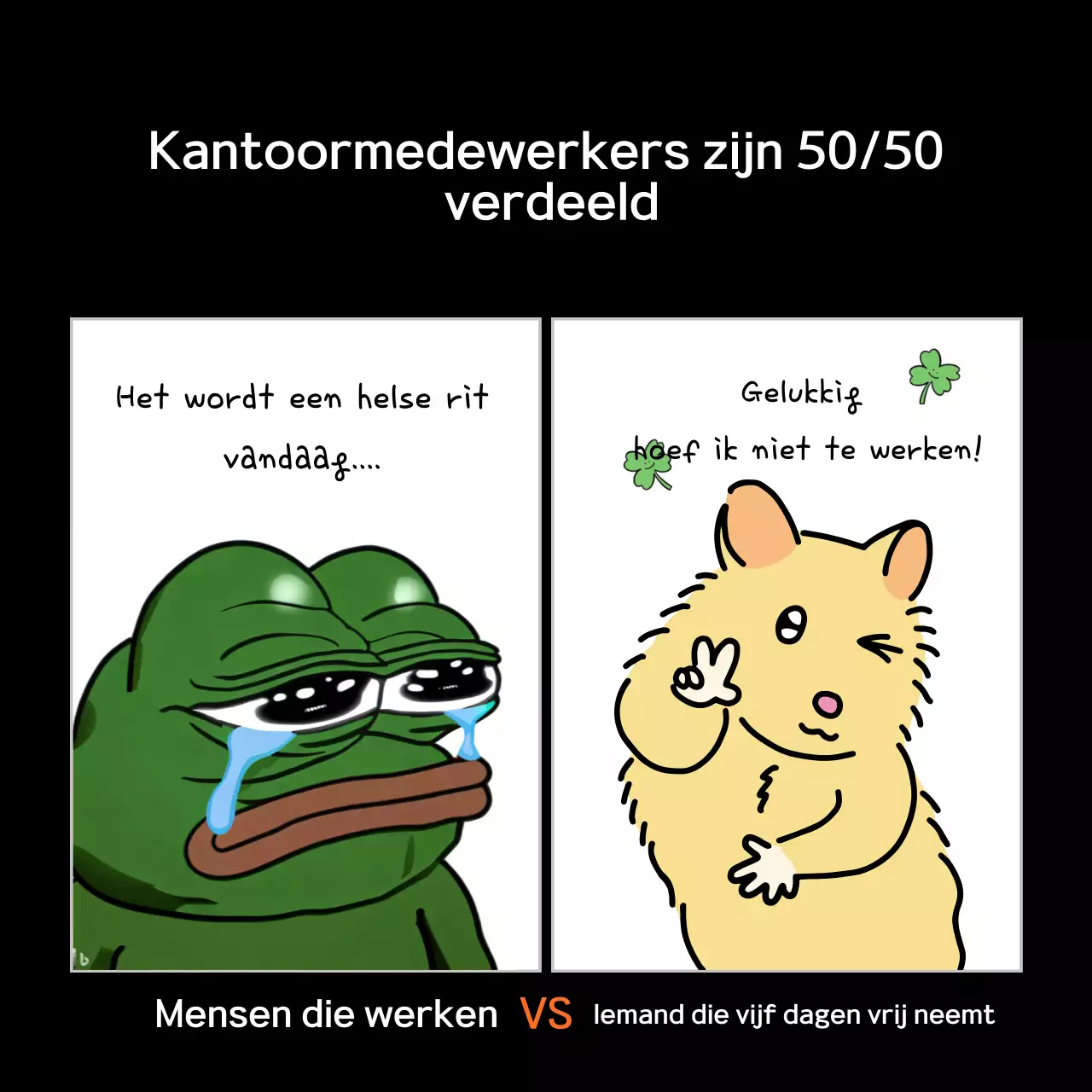 blackbottleoffice medewerker @davidmcgee