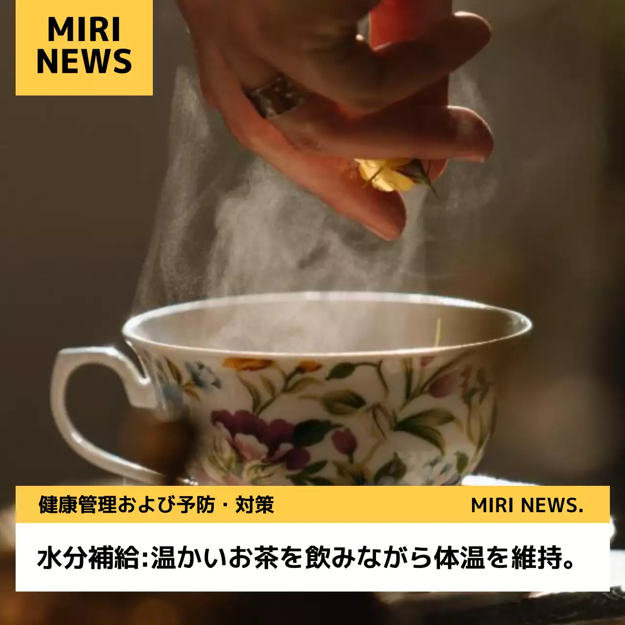 茶色 シンプル 健康 お知らせ