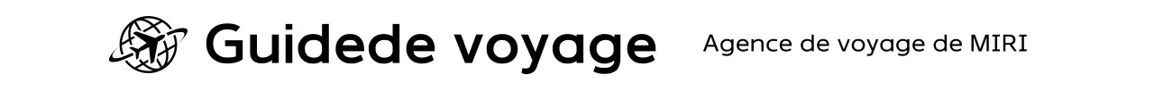 Logo de voyage simple noir