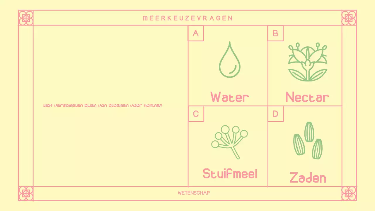 Schattige Roze Oosterse Quiz Layout