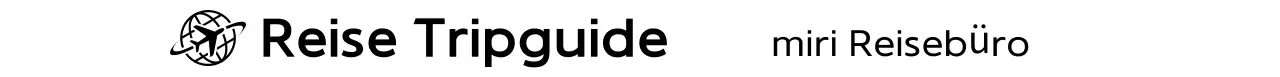 Schwarzes einfaches Reiselogo