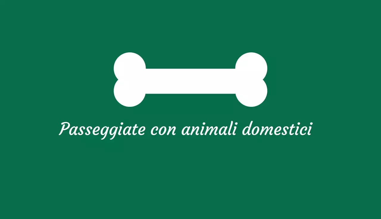 biglietto da visita minimal verde