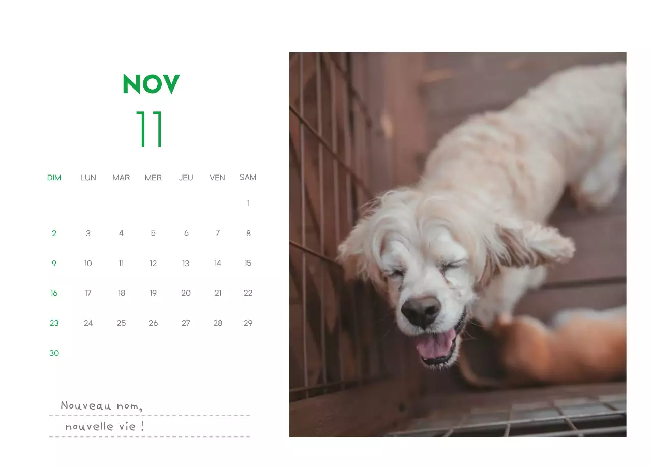 Un calendrier avec une photo de chiot et un message mignon dans une couleur verte.