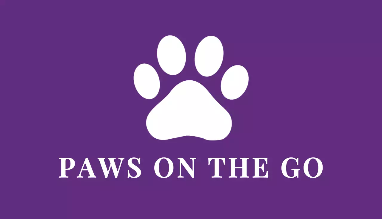 carte de visite élégante en violet