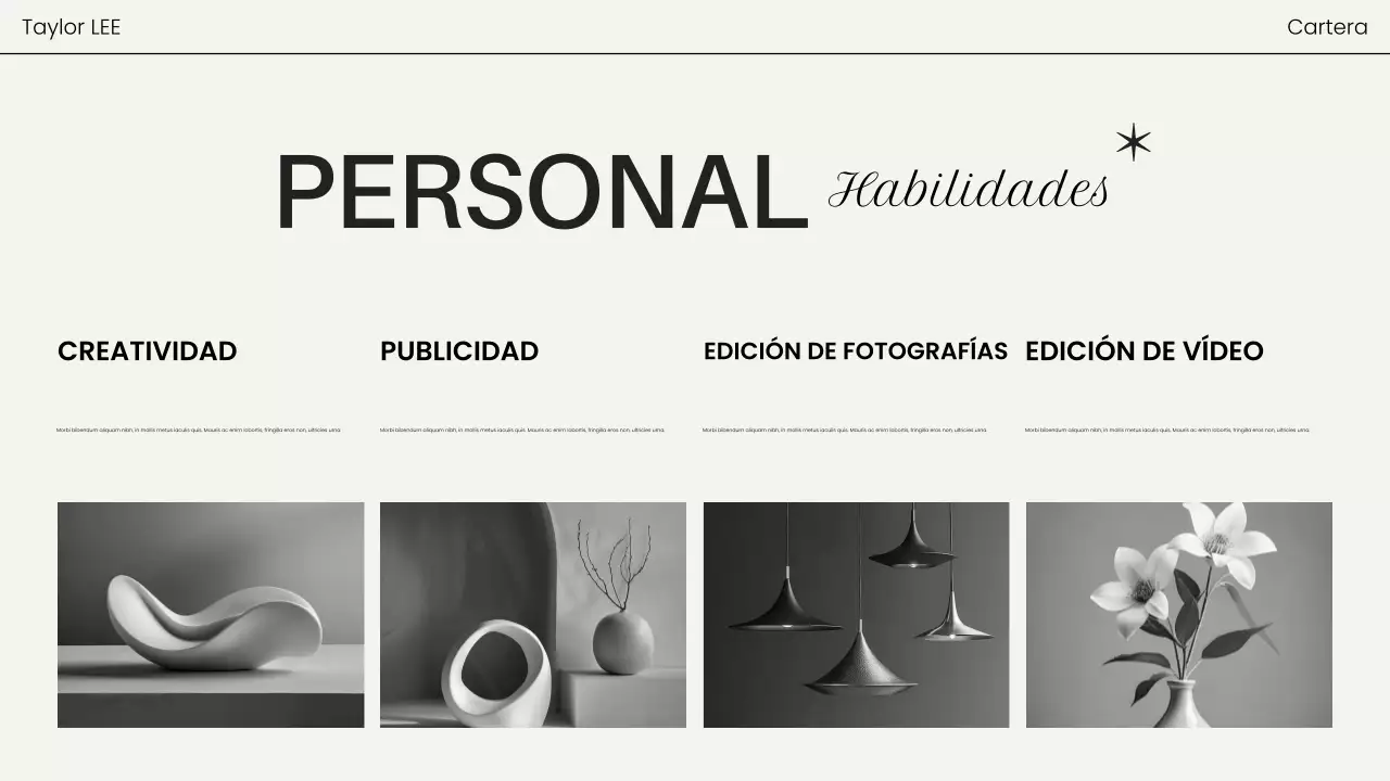 portafolio de fotografía moderna negra