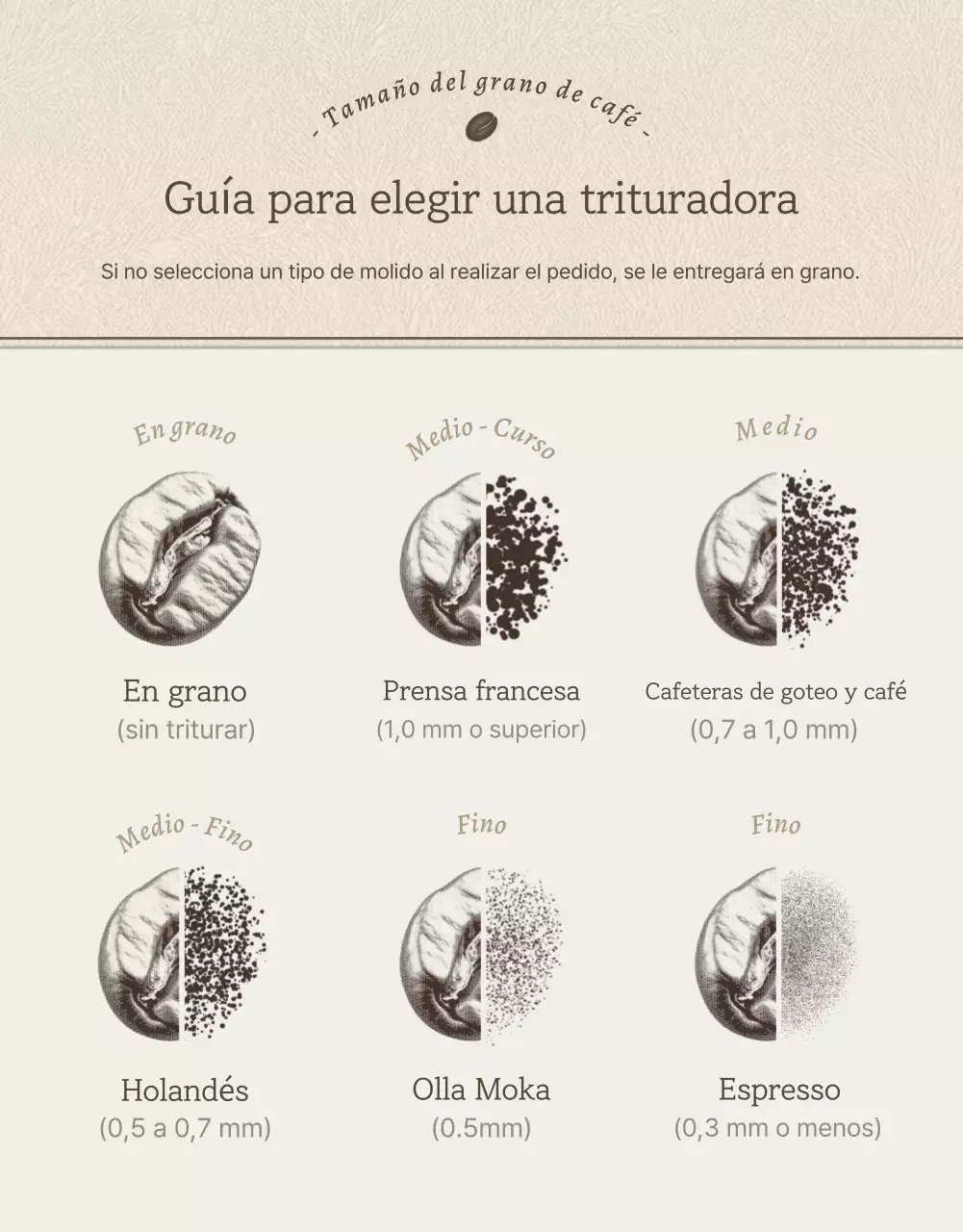 Granos de café vintage beige y marrón página de detalles