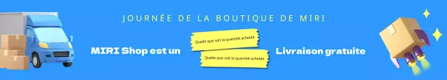 Promouvoir une simple offre de livraison gratuite en bleu clair et jaune