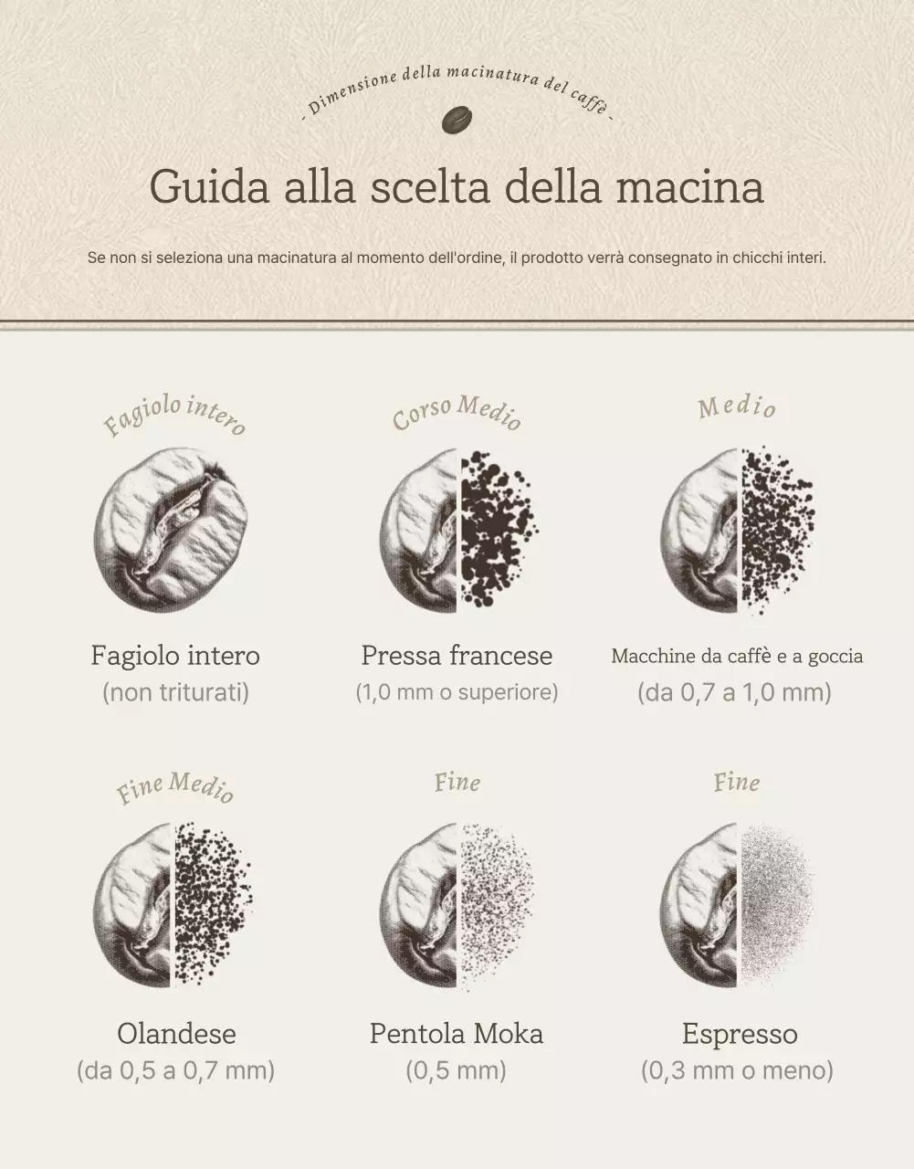 Pagina di dettaglio chicchi di caffè vintage beige e marrone