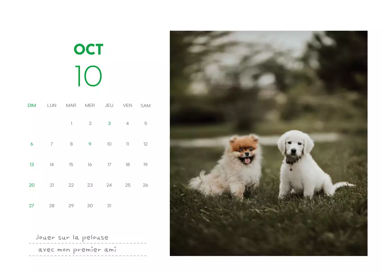 Un calendrier avec une photo de chiot et un message mignon dans une couleur verte.