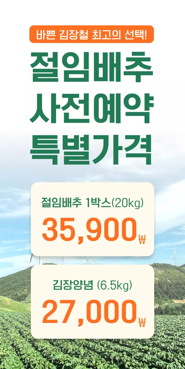 초록 깔끔 절임배추 안내