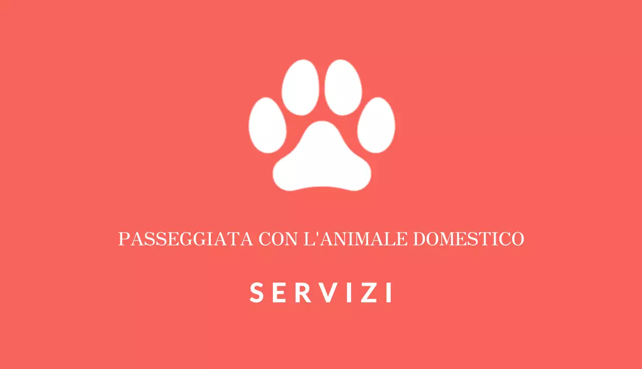 scheda trainer minimalista rossa