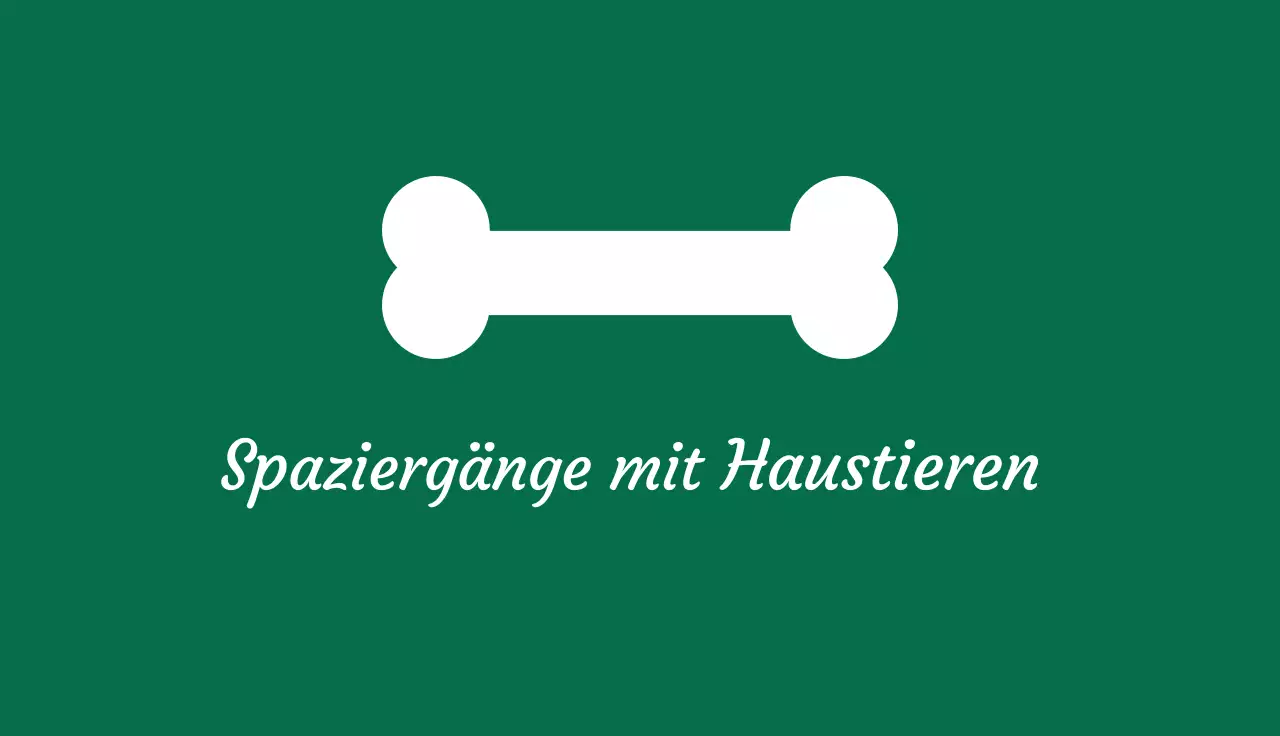 grüne Minimal-Visitenkarte