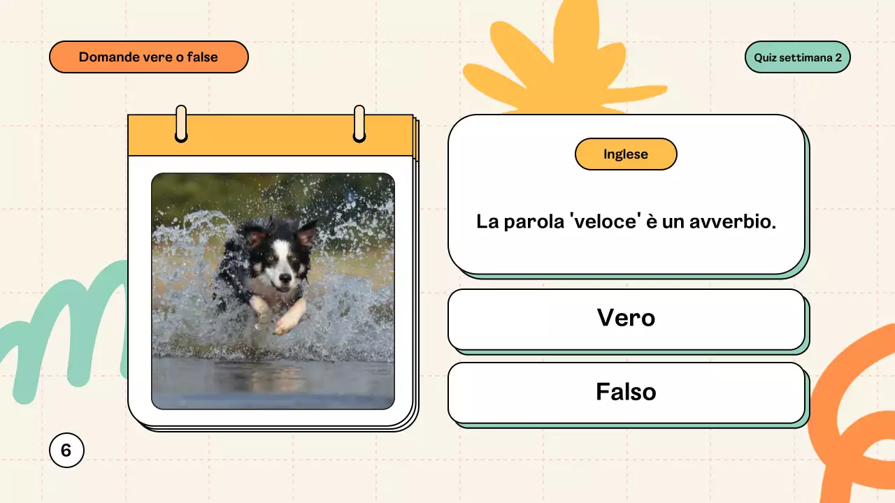 Materiale di classe Quiz moderno alla menta