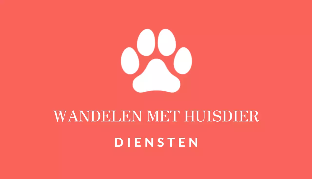 rode minimalistische trainer kaart