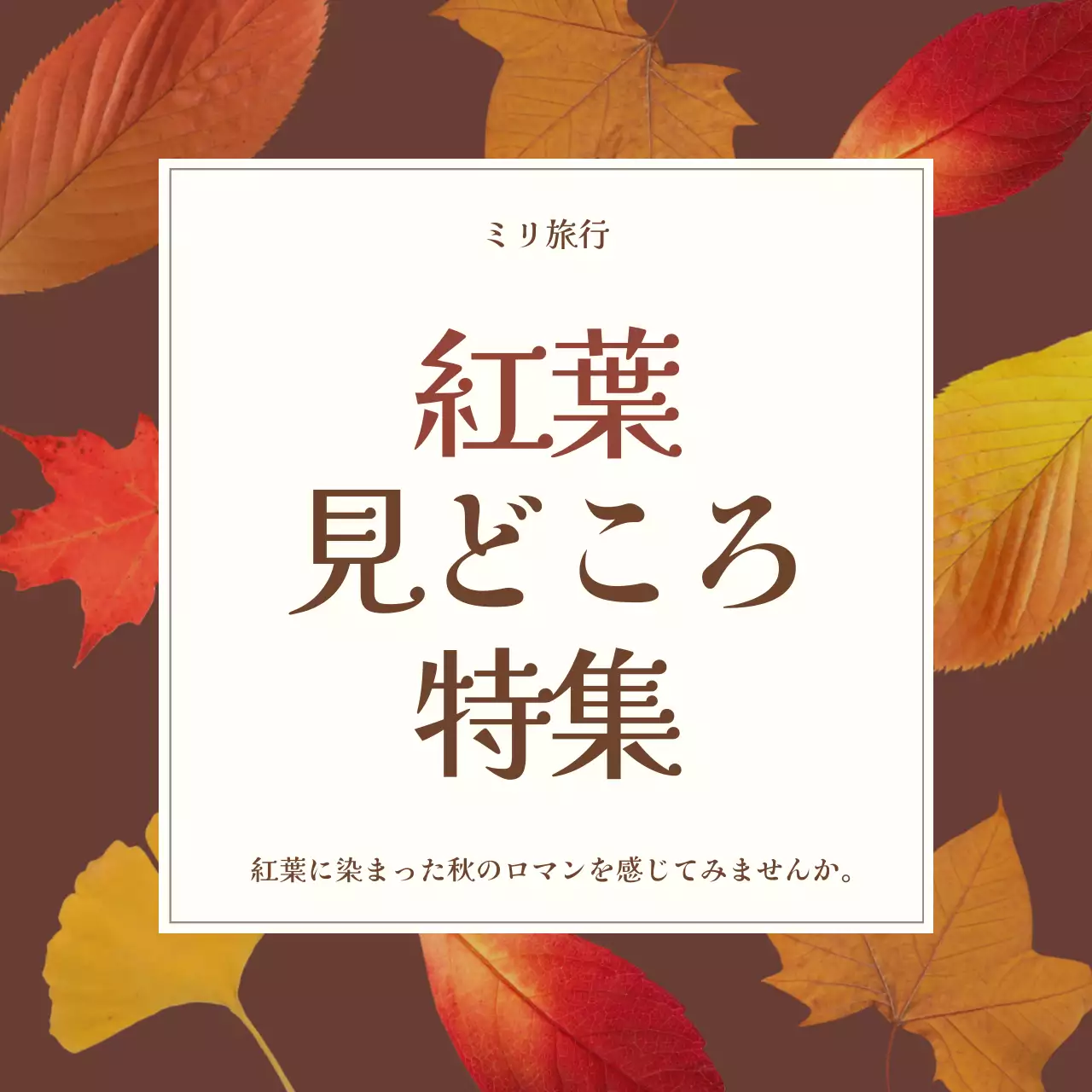 茶色 上品 紅葉 ポスター