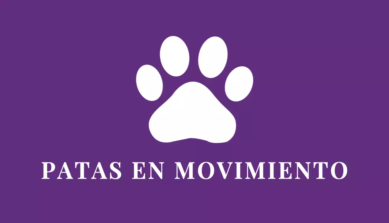 tarjeta de visita elegante morada
