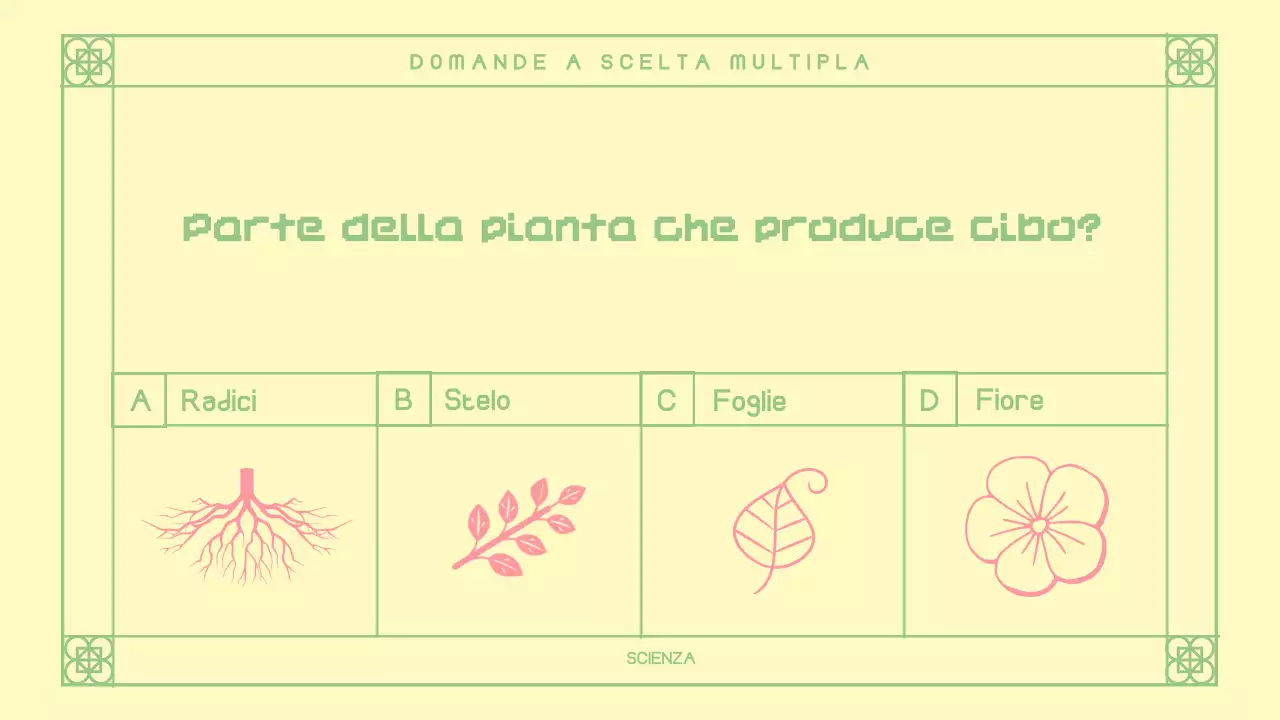 Cute Pink Oriental Quiz Layout