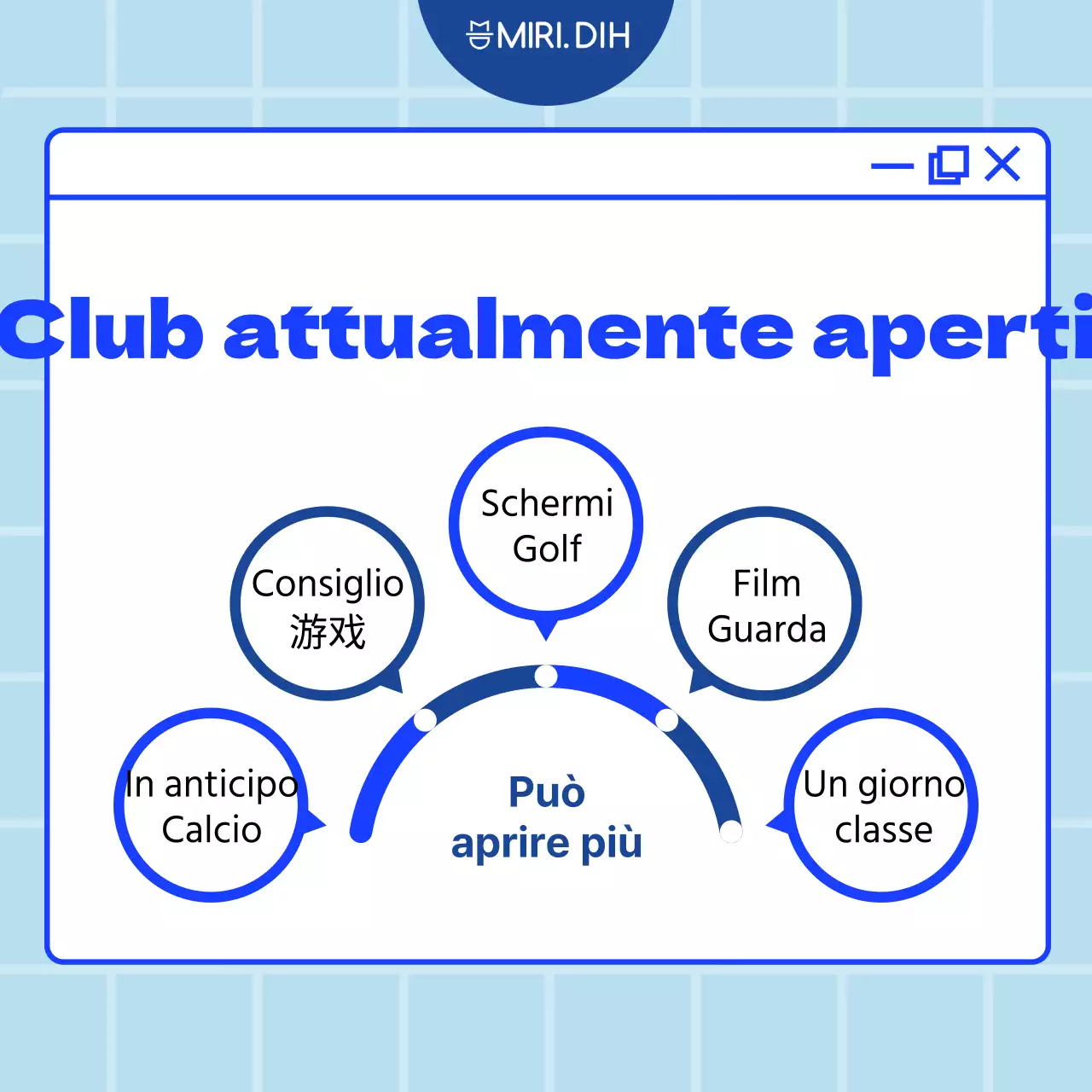 Descrizione del Club Blue Tidy