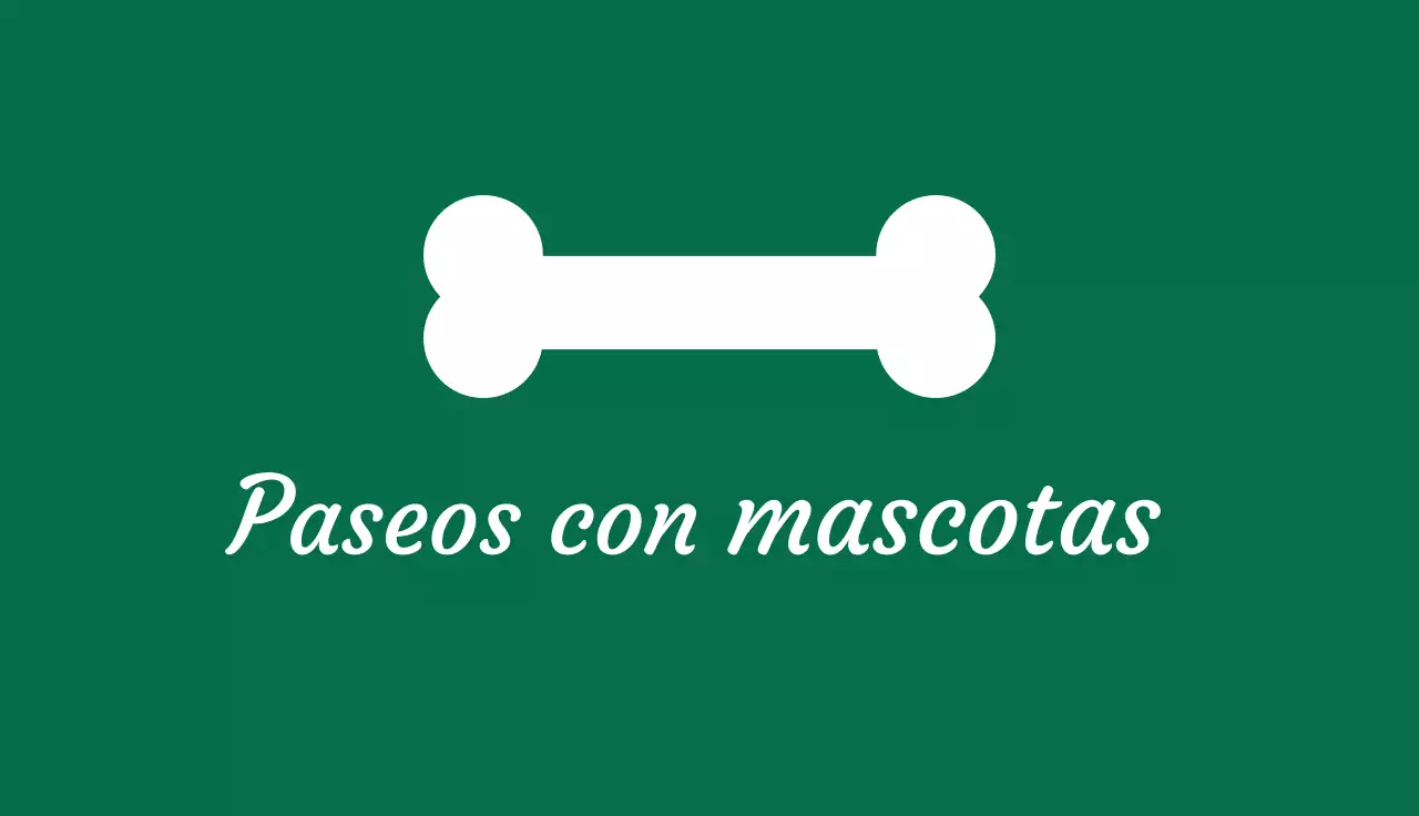 tarjeta de visita minimalista verde