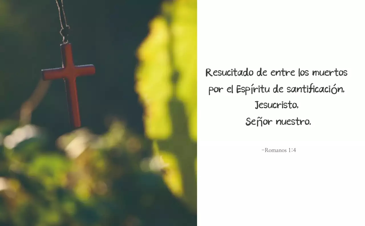 Caligrafía sencilla Promoción de la Biblia en la Iglesia