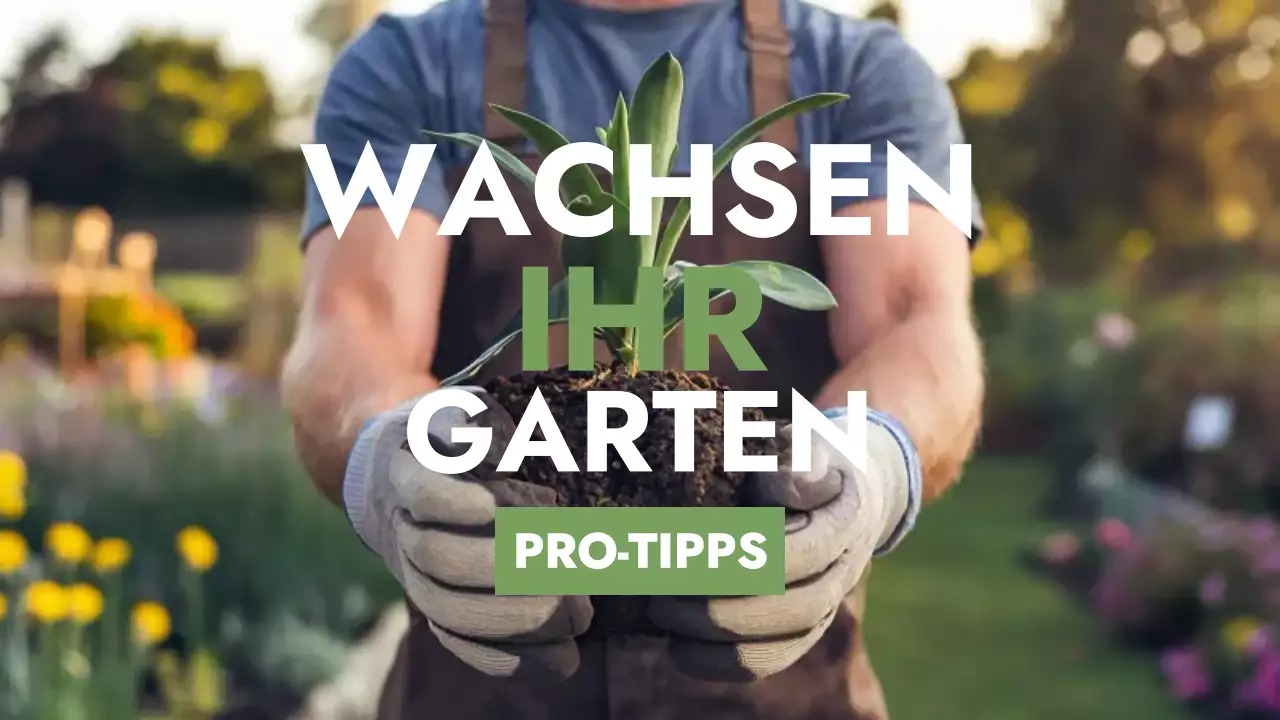 grüner rustikaler Gartenführer