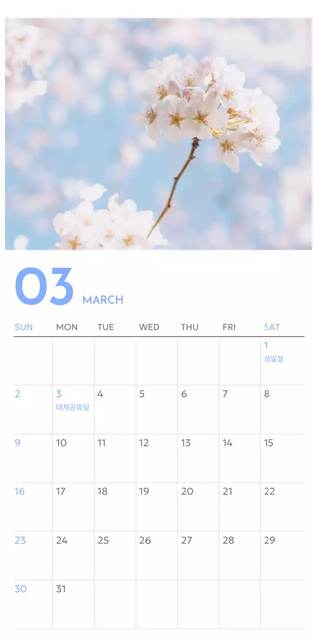 푸른색이 돋보이는 사진 골트래커 달력