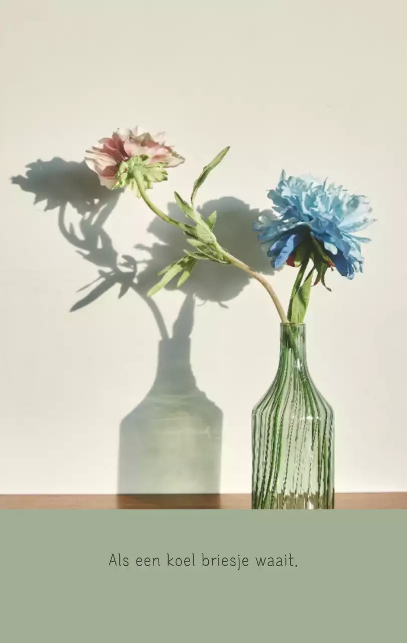 Witte schone botanische natuurkalender