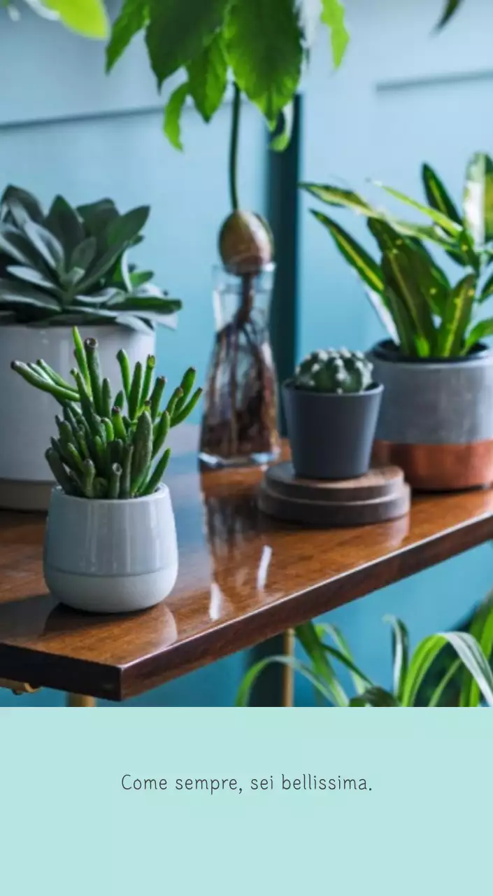 Calendario botanico naturale bianco e pulito