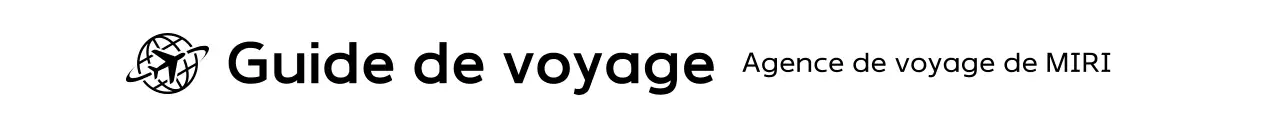 Logo de voyage simple noir