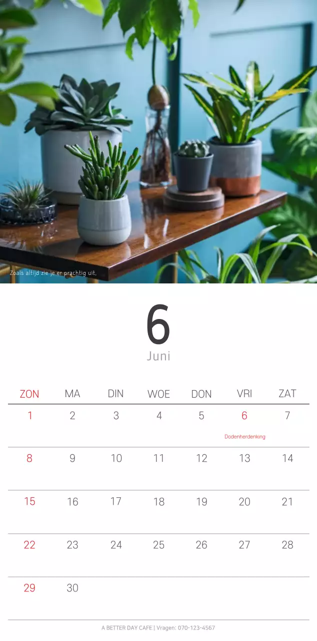 Witte schone botanische natuurkalender