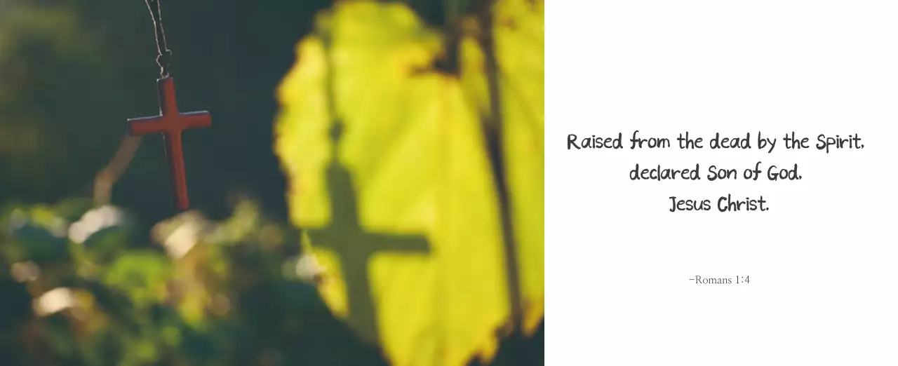 Promote a simple calligraphy Bible Church