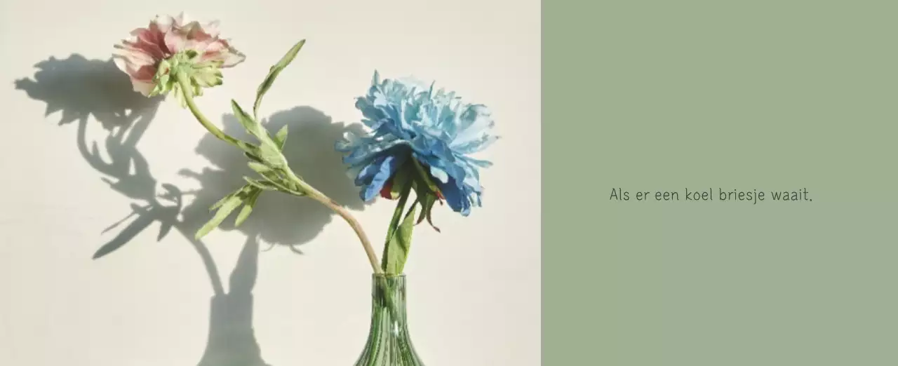 Witte schone botanische natuurkalender