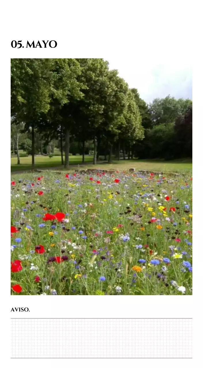 Calendario sencillo con concepto de fotografía de viaje emocional en blanco y negro