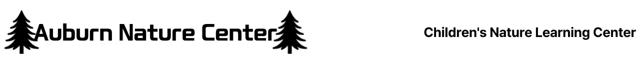 Mempromosikan Pusat Pendidikan Anak Secara Sederhana