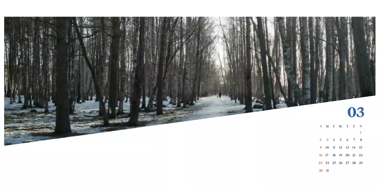 Blue Modern Hospital Calendar