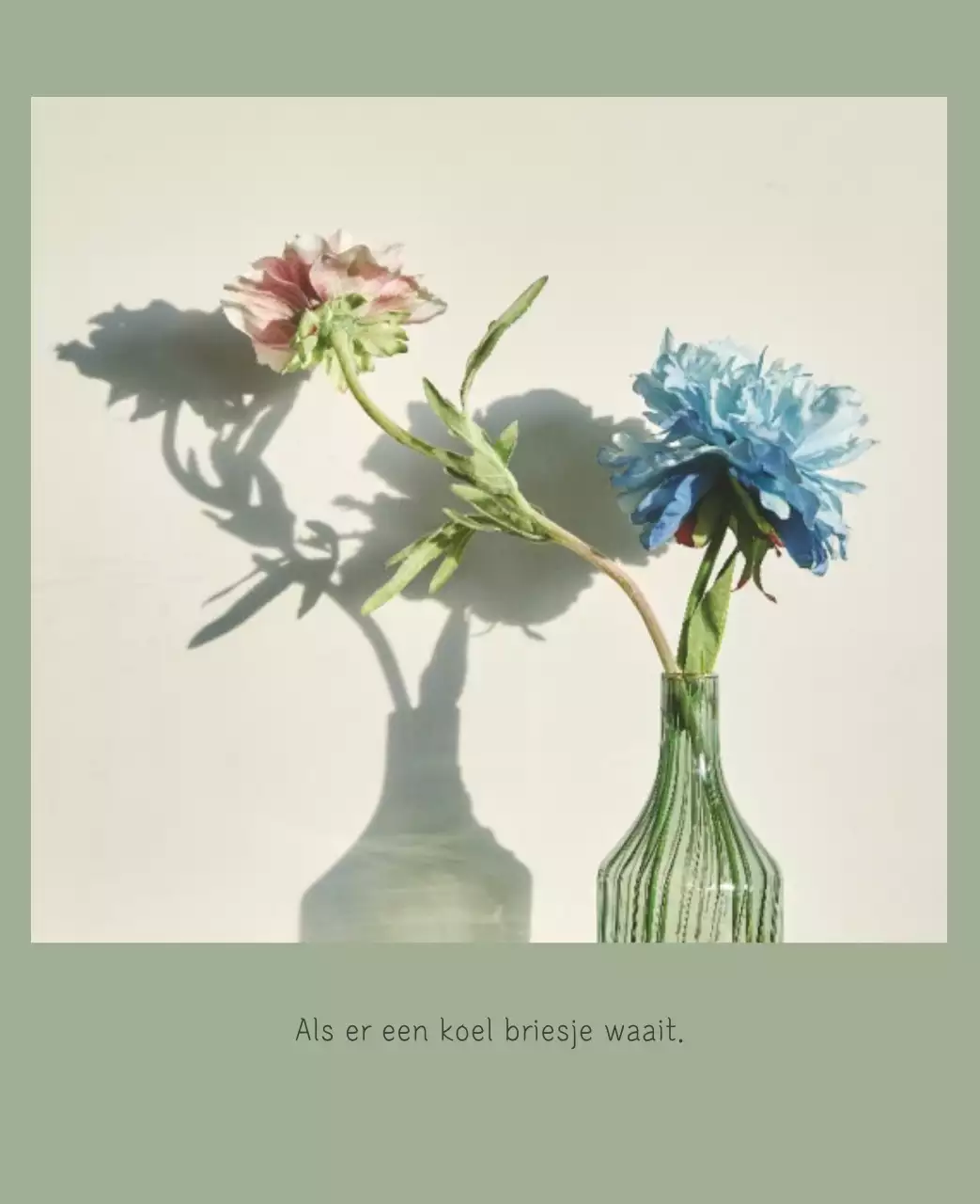 Witte schone botanische natuurkalender