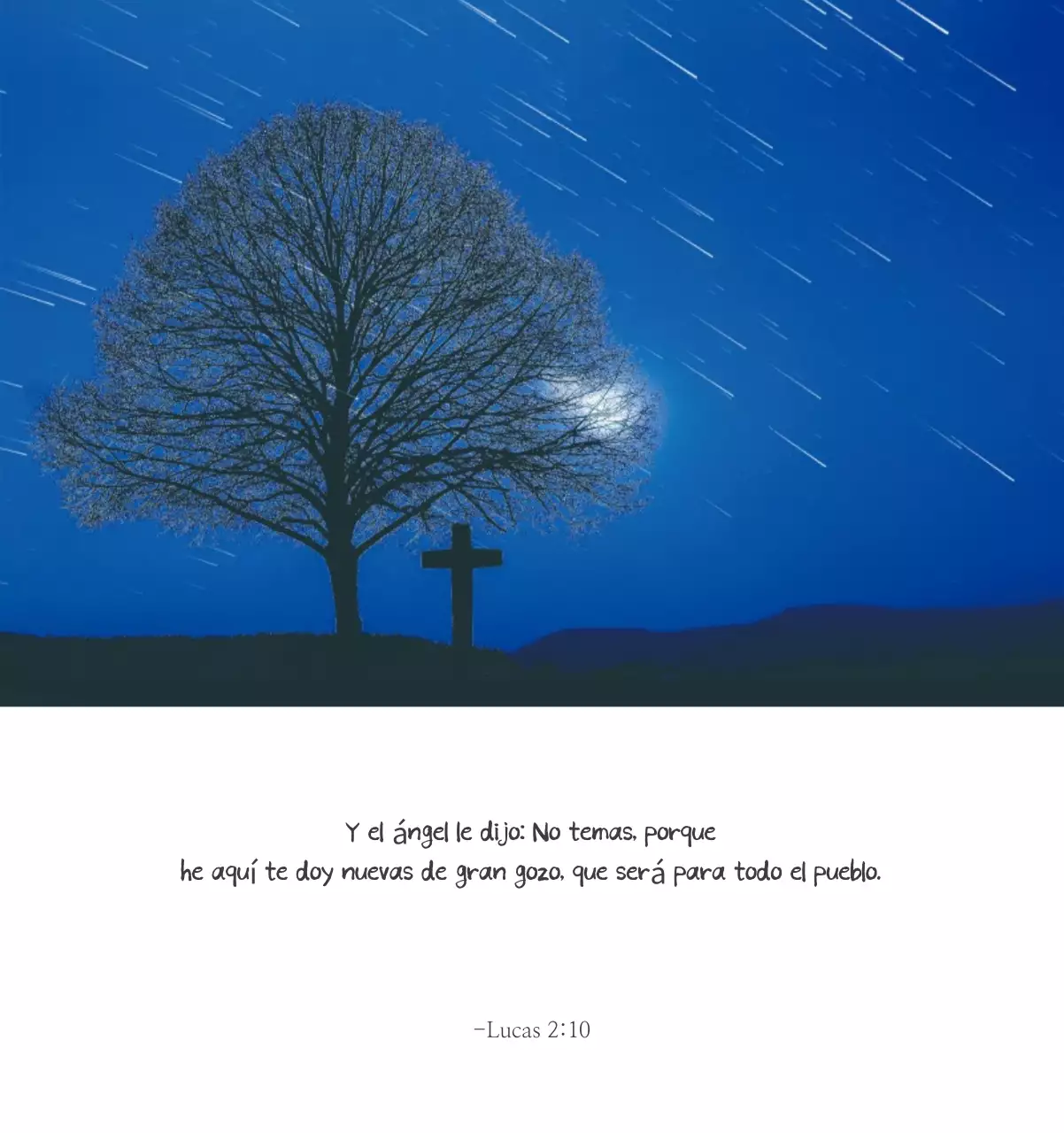 Caligrafía sencilla Promoción de la Biblia en la Iglesia