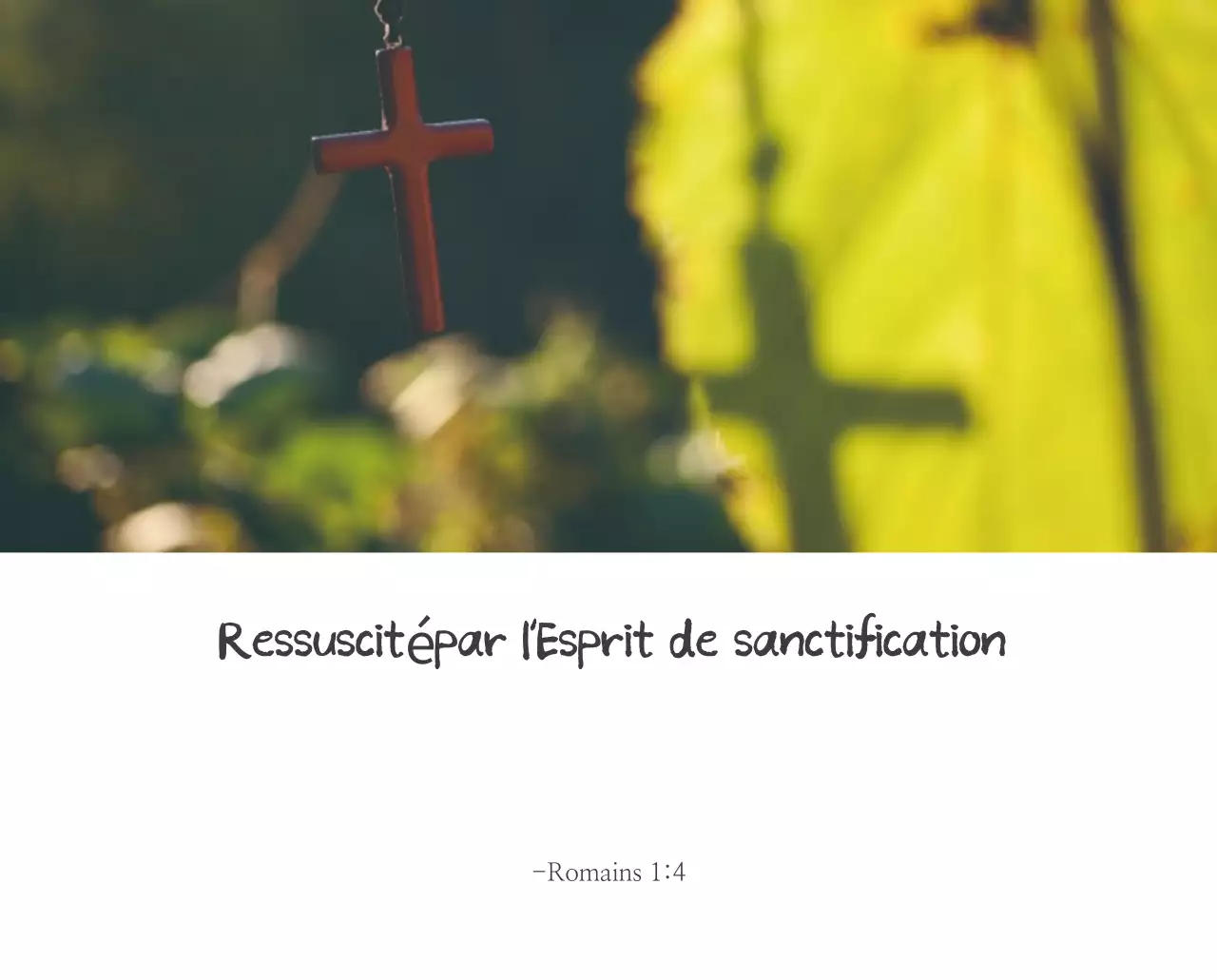 Calligraphie simple Promotion de l'église biblique