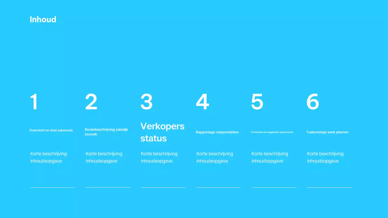 Lichtblauwe minimalistische zakenreis beschrijving