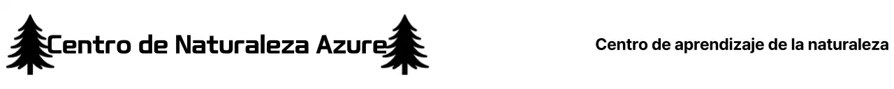 Promoción del Centro de Educación Infantil Simple