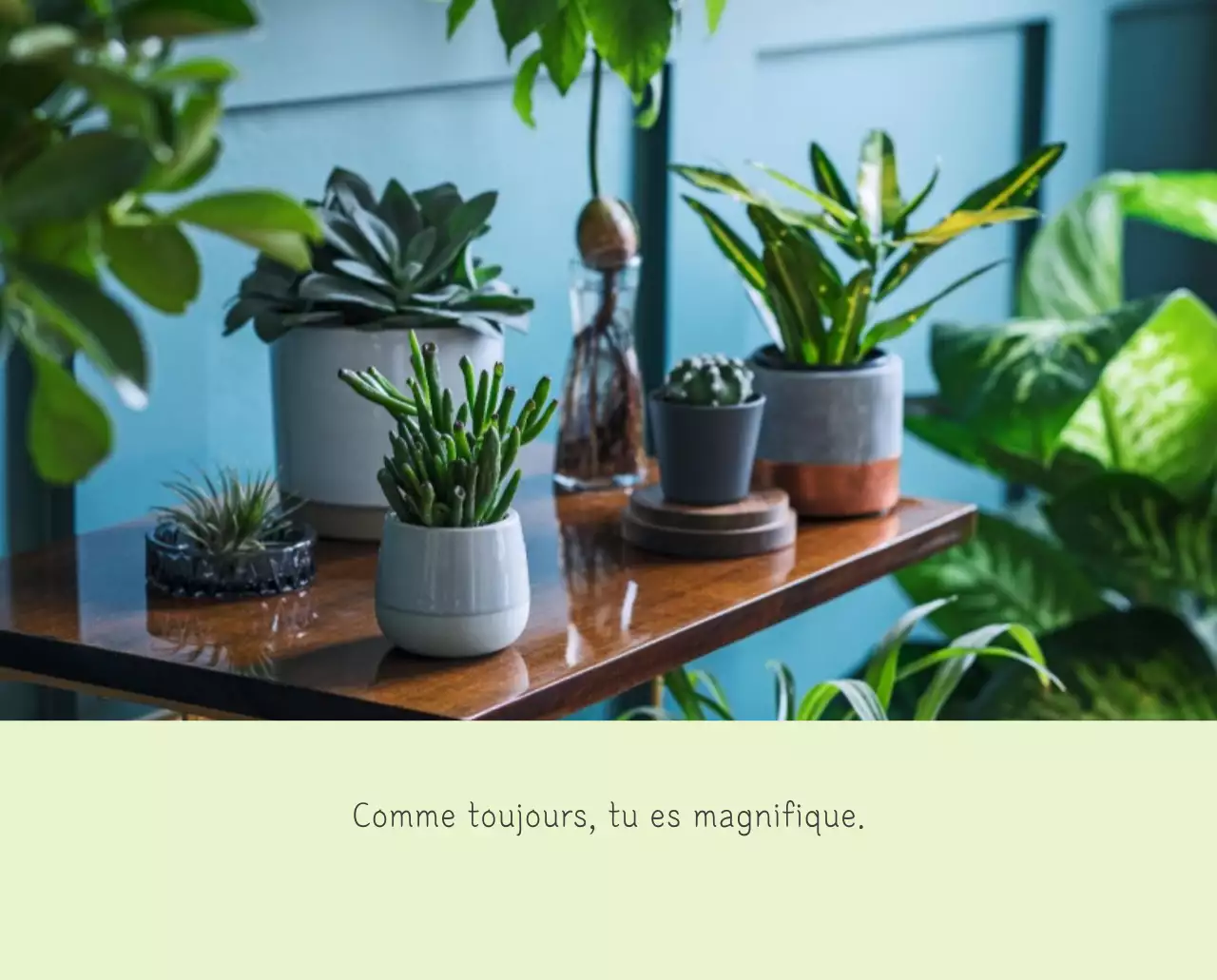 Calendrier botanique blanc et propre