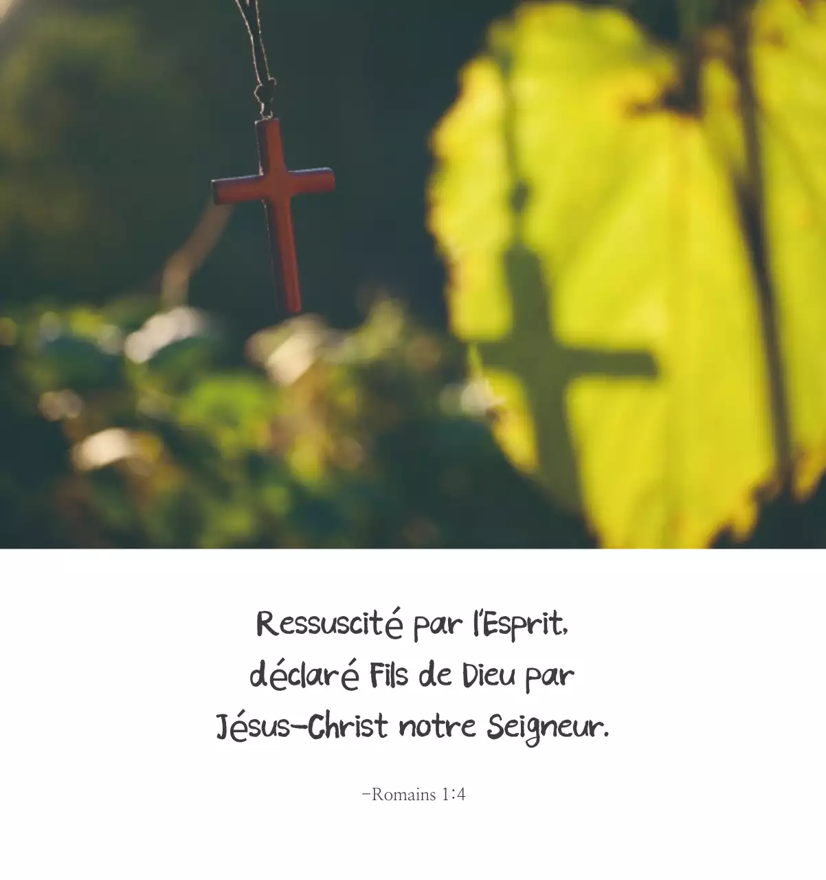 Calligraphie simple Promotion de l'église biblique