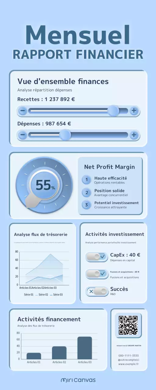 rapport financier blue clean