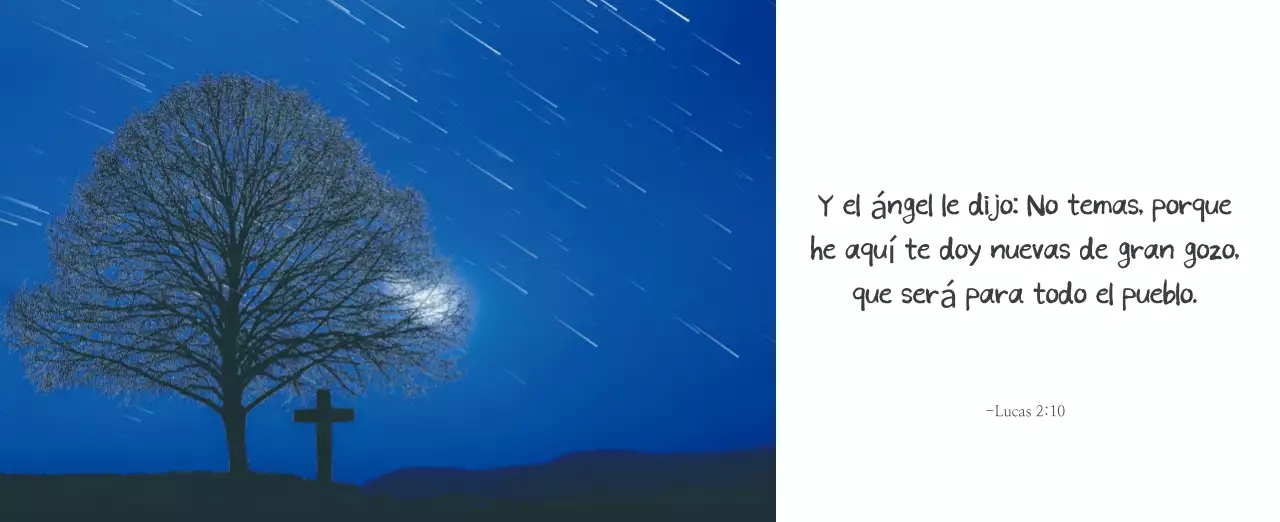 Caligrafía sencilla Promoción de la Biblia en la Iglesia