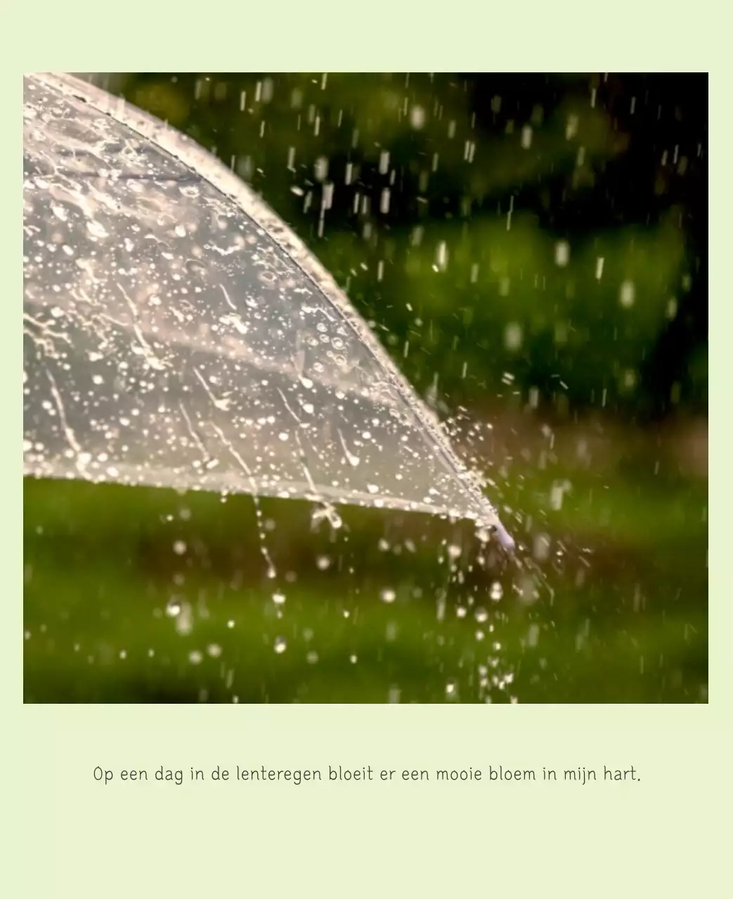 Witte schone botanische natuurkalender