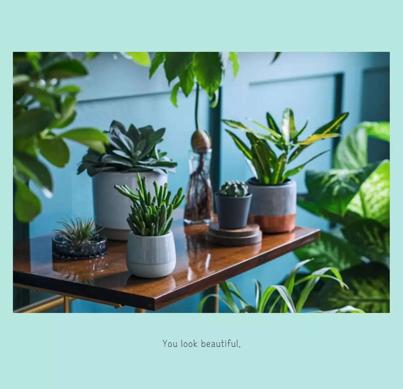 Kalender alam botani putih bersih